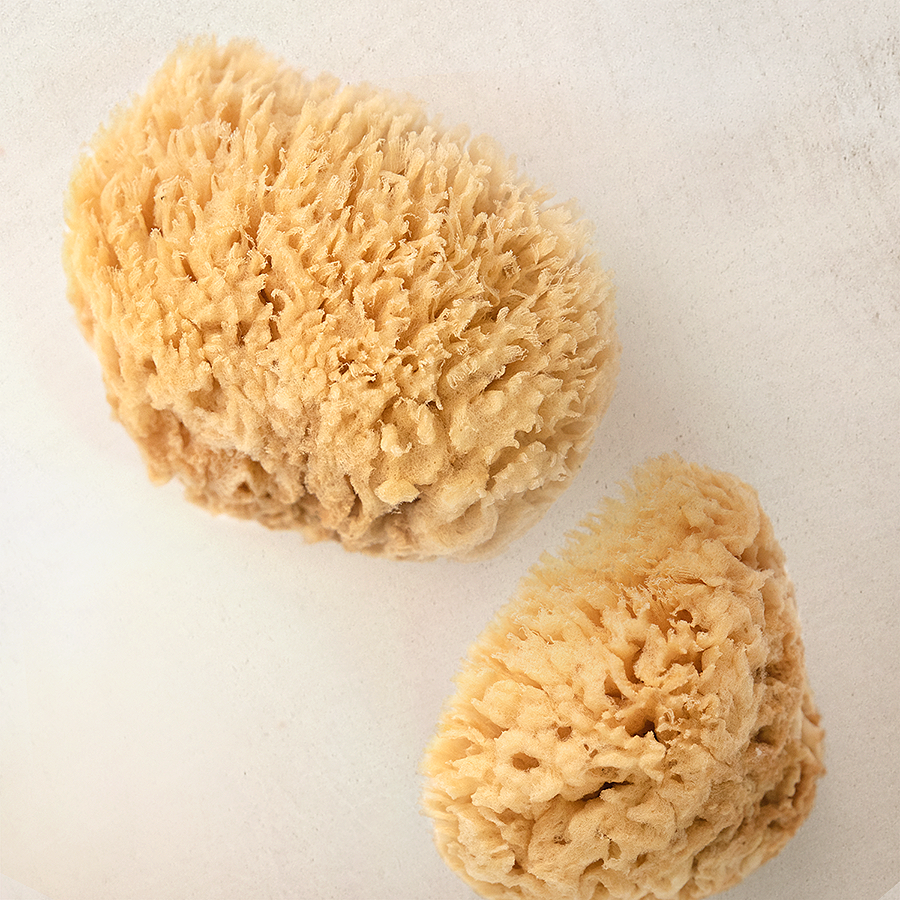 Mediterranean Wool Sponges: Medium