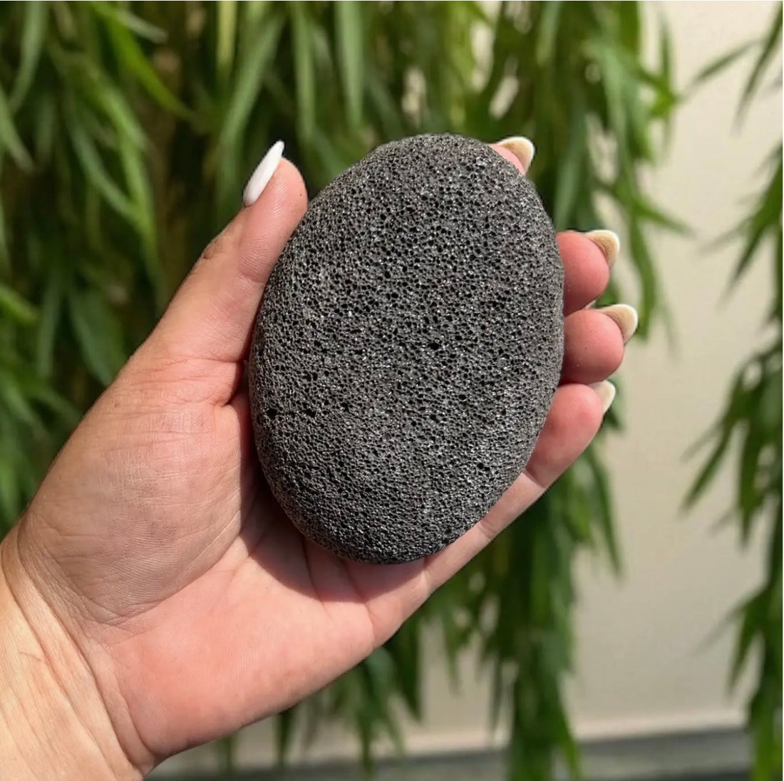 Large Natural Pumice Foot Stone