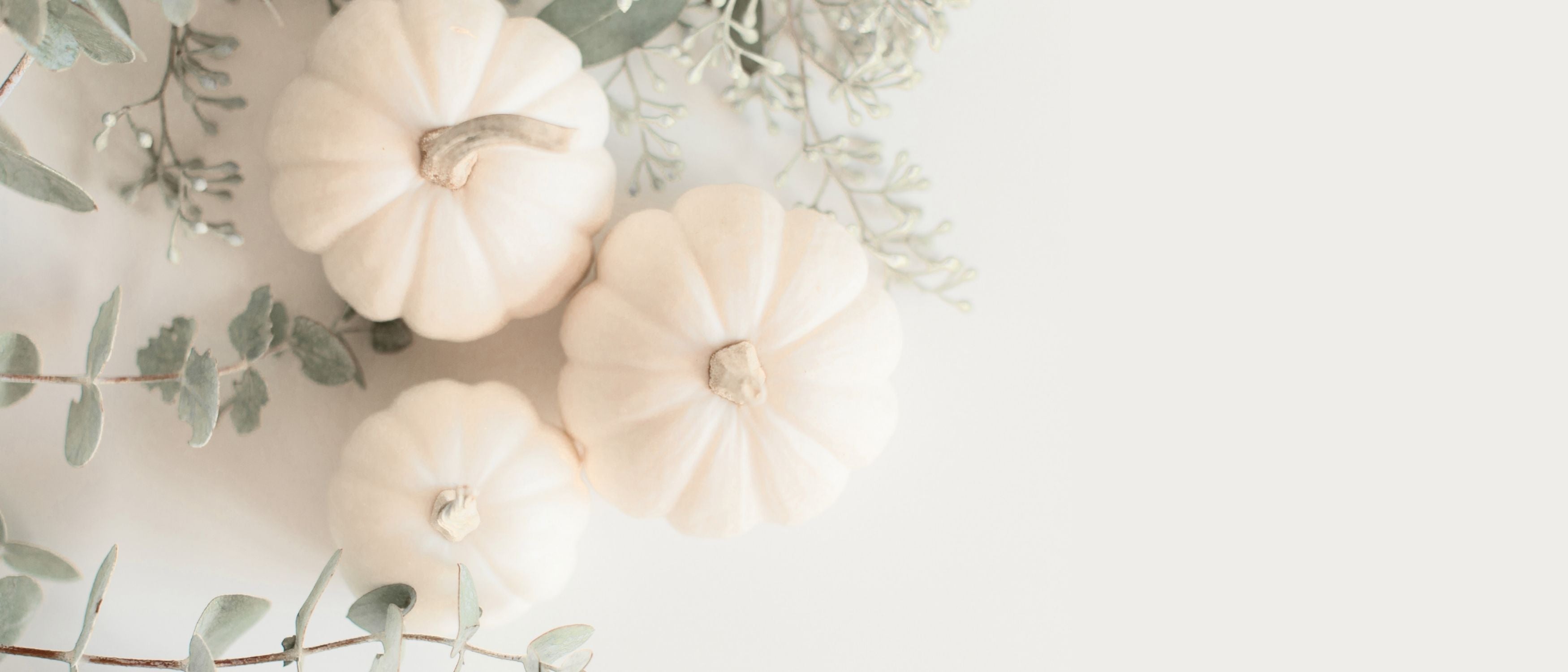 Fall Glow Favorites