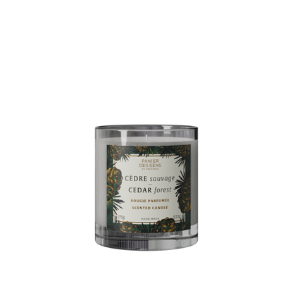 Cedar Forest Scented Candle- 9.7oz/275g