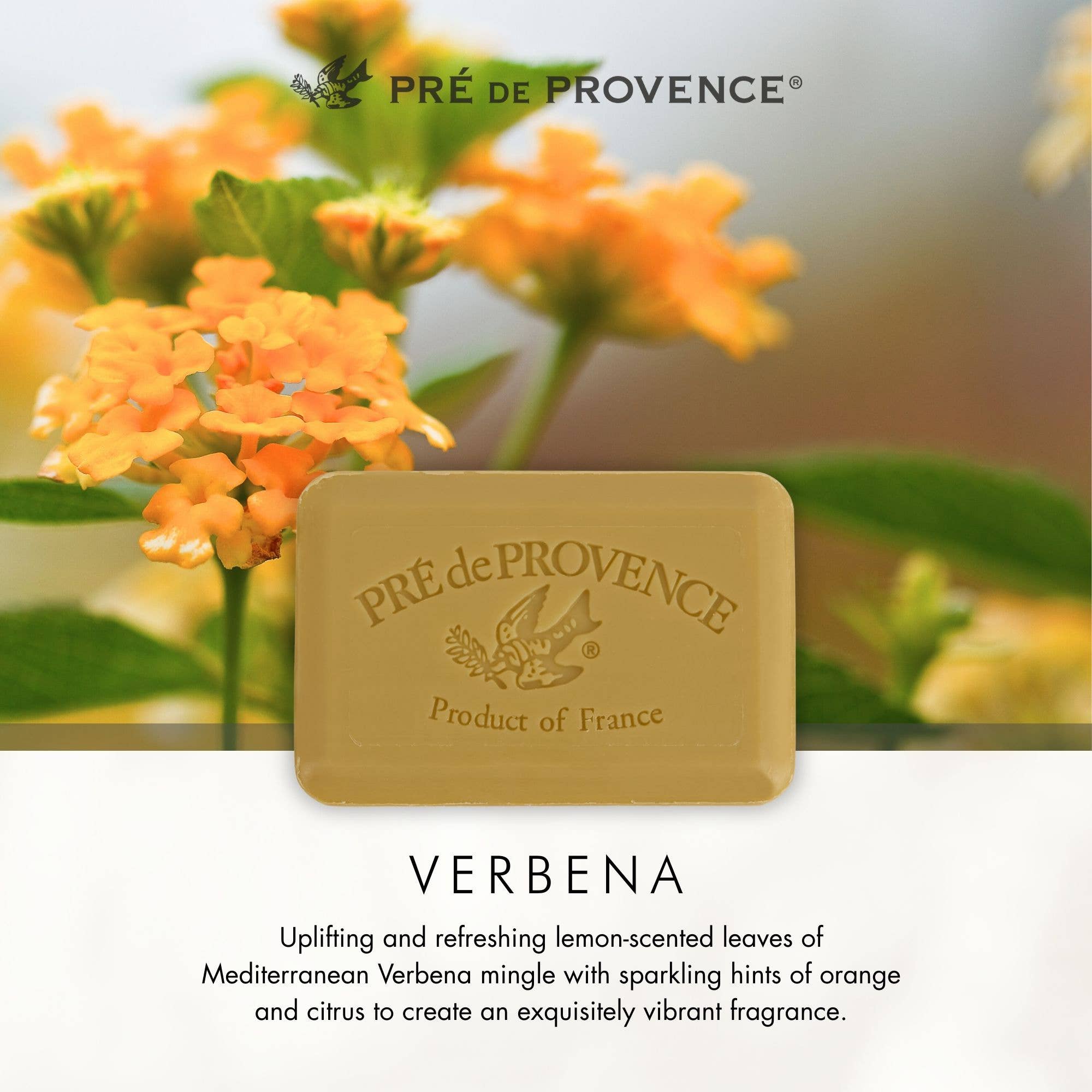 Verbena Soap Bar - 250 g: 250G
