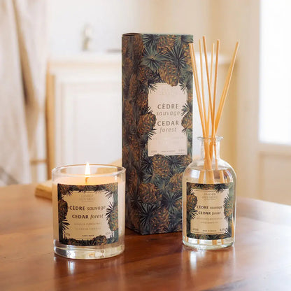 Cedar Forest Scented Candle- 9.7oz/275g
