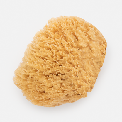 Mediterranean Wool Sponges: Medium