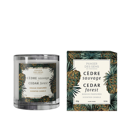 Cedar Forest Scented Candle- 9.7oz/275g