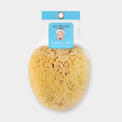 Natural Sea Sponges: Large