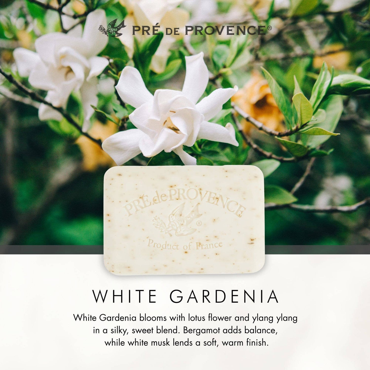 White Gardenia Soap Bar  - 250 g: 250G