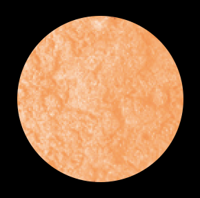 Creme Caramel 